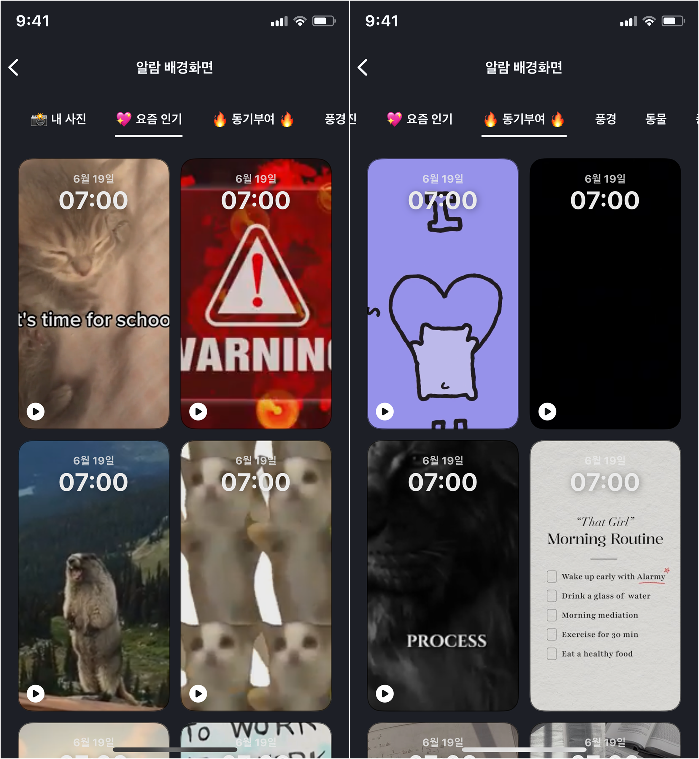 배경 공지 - ios - 국문1.png
